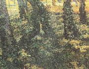 Vincent Van Gogh Tree Trunks with Ivy (nn04) oil painting on canvas